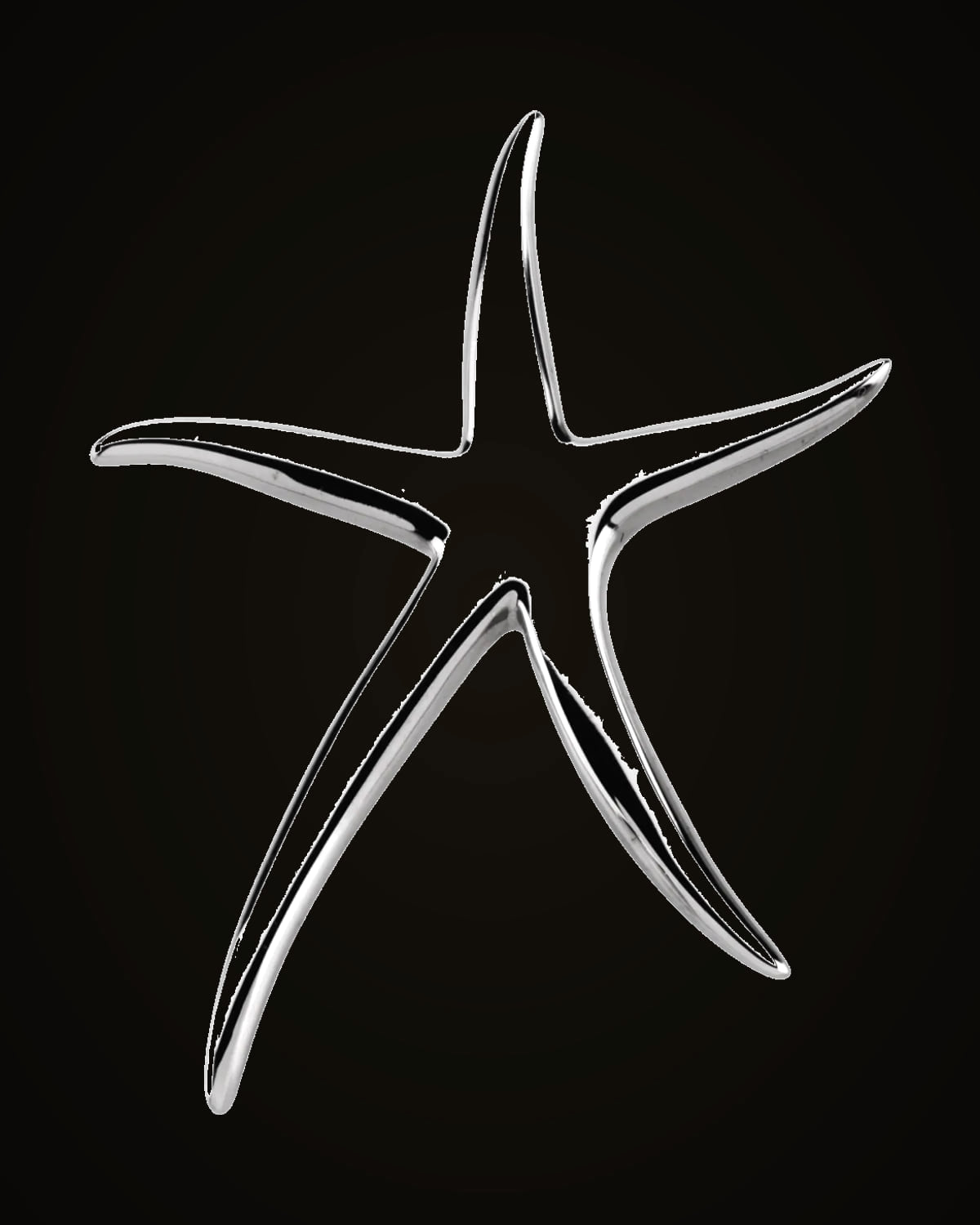 Starfish Brooch Or Pendant — Sterling Silver