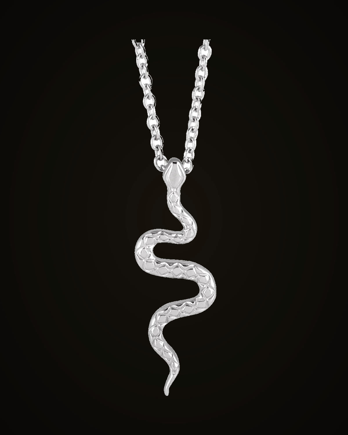 Snake Necklace — Sterling Silver