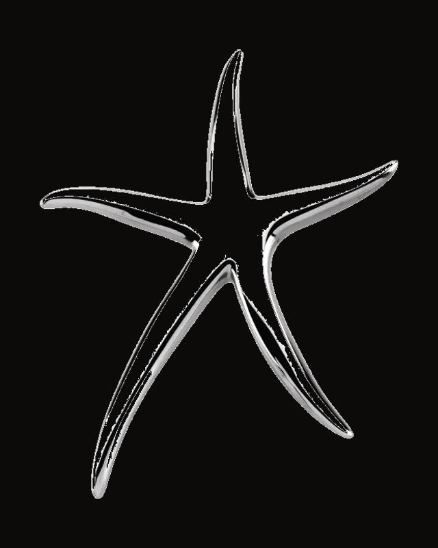 Starfish Brooch Or Pendant — Sterling Silver