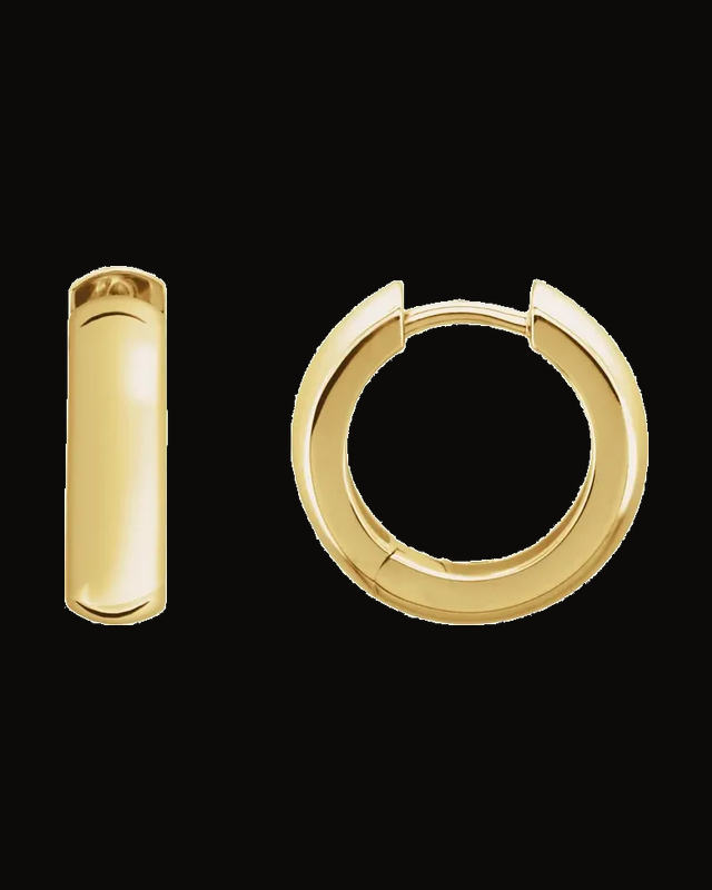 Hinged Hoop Earrings