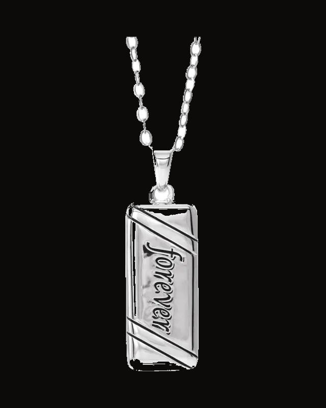 Forever Companion Ash Holder Necklace — Rhodium-Plated on Sterling Silver