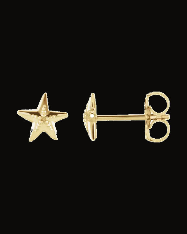 Starfish Earrings — 14K Yellow Gold