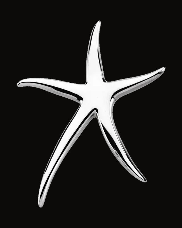 Starfish Brooch Or Pendant — Sterling Silver