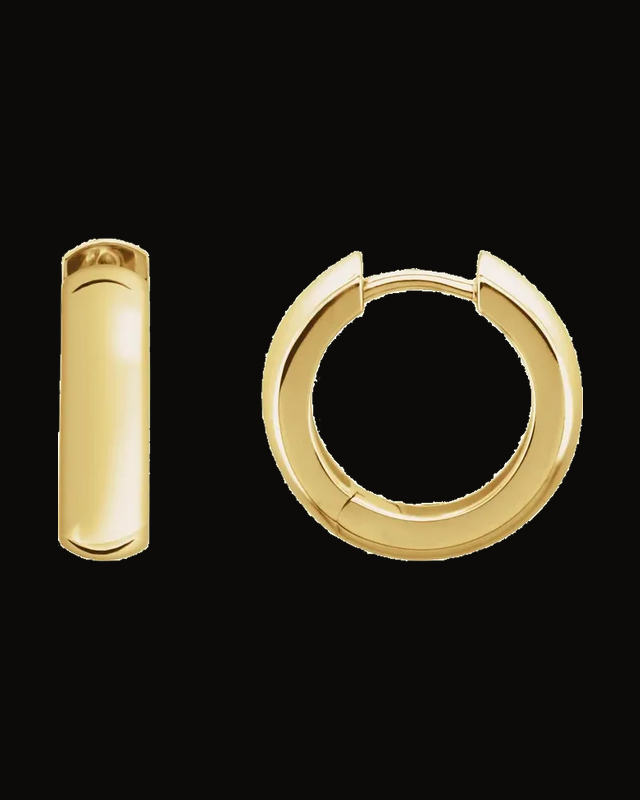 Hinged Hoop Earrings
