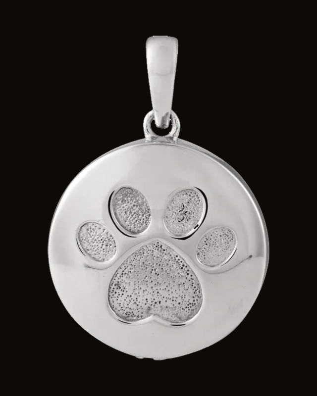 Pet Ash Holder Pendant With Accessory Kit