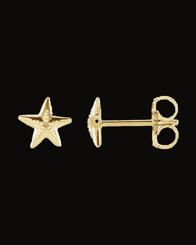 Starfish Earrings — 14K Yellow Gold