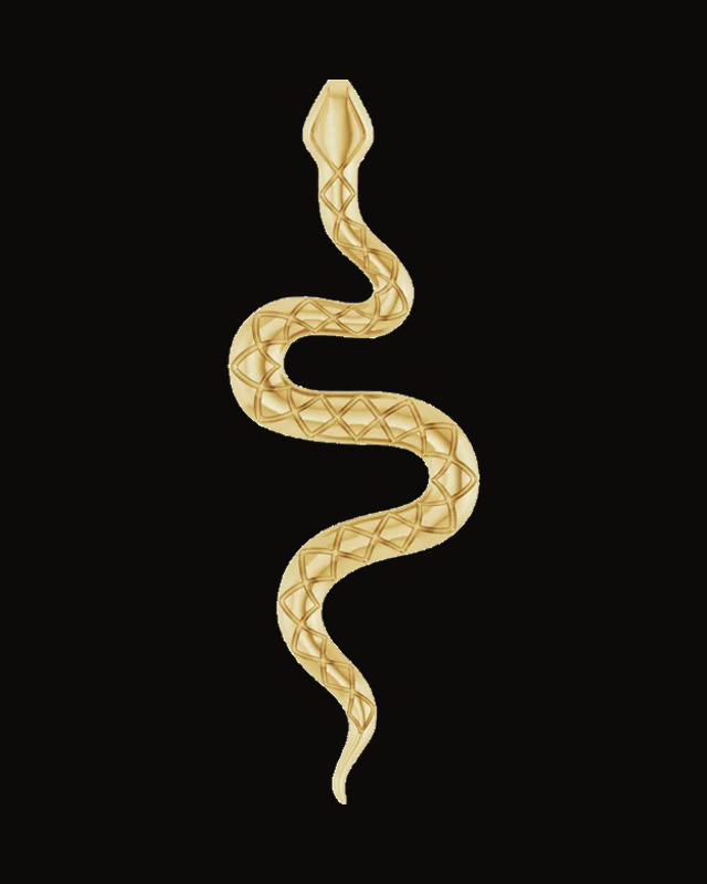 Snake Necklace or Pendant